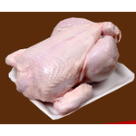 PHU Olimpek Sp. z o.o.